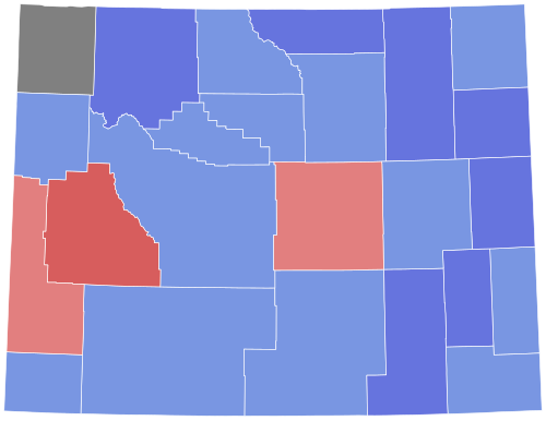 1924 Wyoming gubernatorial special election
