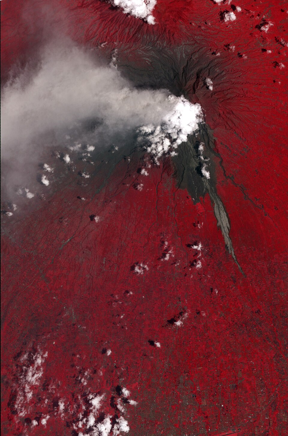 This false-color satellite image shows evidence of a large pyroclastic flow along the Gendol River south of Mount Merapi. Light gray volcanic deposits…