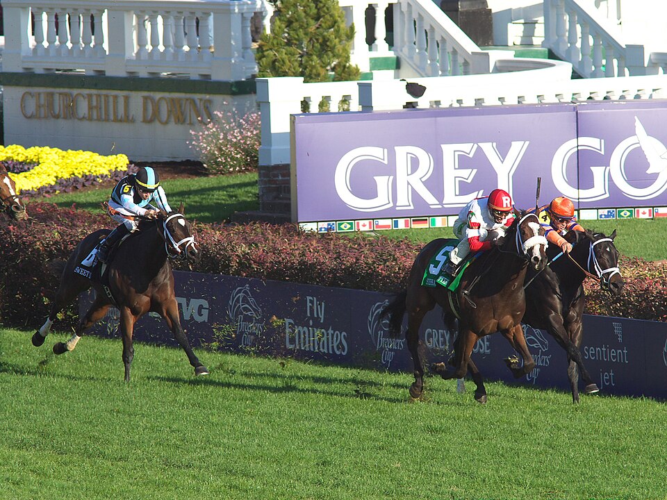 The 2011 Breeders' Cup Juvenile Fillies Turf. Stephanie's Kitten (#5) battles Stopshoppingmaria (#4) and Sweet Cat (#6).