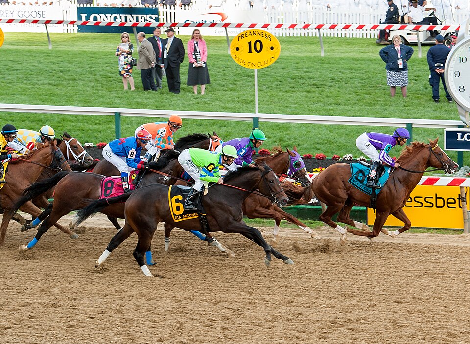 First time past the stands in the 139th Preakness Stakes. by Jay Baker at Baltimore, MD.