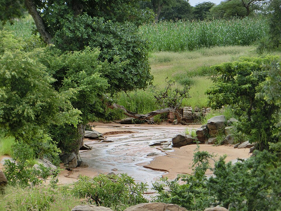 Agricultural activities around Dougu Village