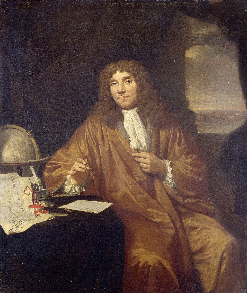 Portrait of Anthonie van Leeuwenhoek (1632-1723), natural philosopher, in Delft. Knee piece, sitting at a writing table on which a certificate lies from his…