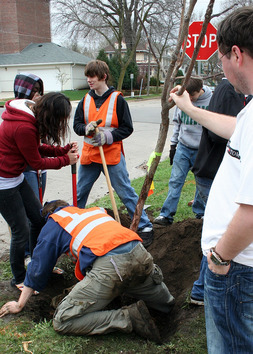 Volunteers planting a tree for Arbor Day on First Street SW in Rochester, Minnesota