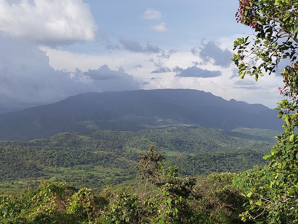 Chappal Wadi or Gangirwal (Mountain of Death): the Highest point in sub-Saharan West Africa, at the Nigerian-Cameroun border on the Mambilla plateau in…