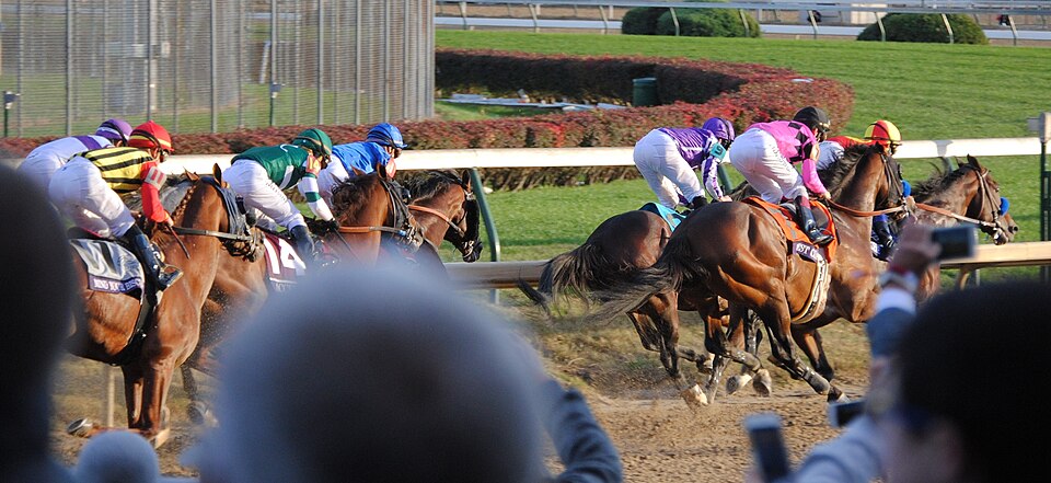 Going into the first turn of the 2018 Breeders' Cup Classic. Eventual winner Accelerate (#14) lies in fifth place.