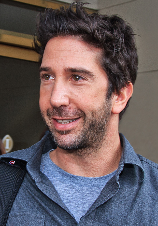 David Schwimmer at the 2010 Toronto International Film Festival .