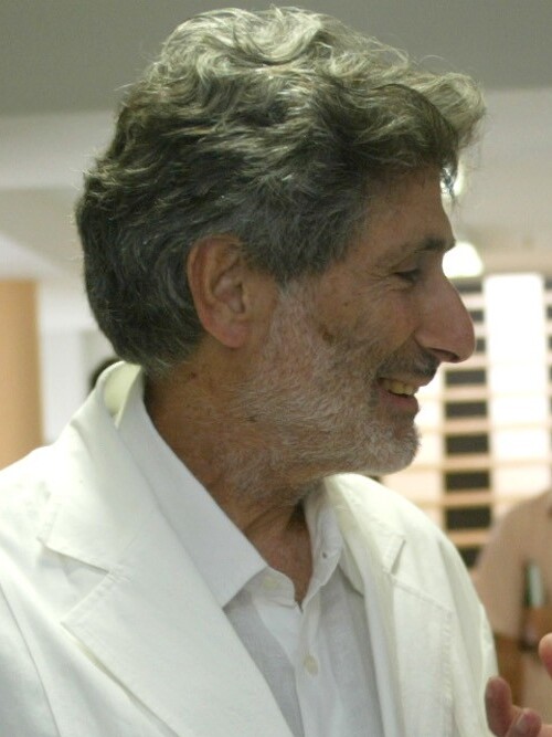 The picture shows a meeting of Edward Said and Daniel Barenboim in Sevilla in 2002