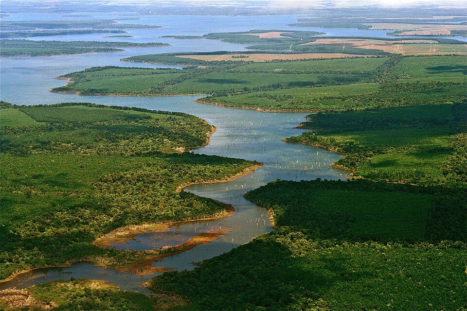 Lagunas y Esteros del Iberá’ is a fragile and important wetland that is under the protection of an international treaty. is a part of the extensive…