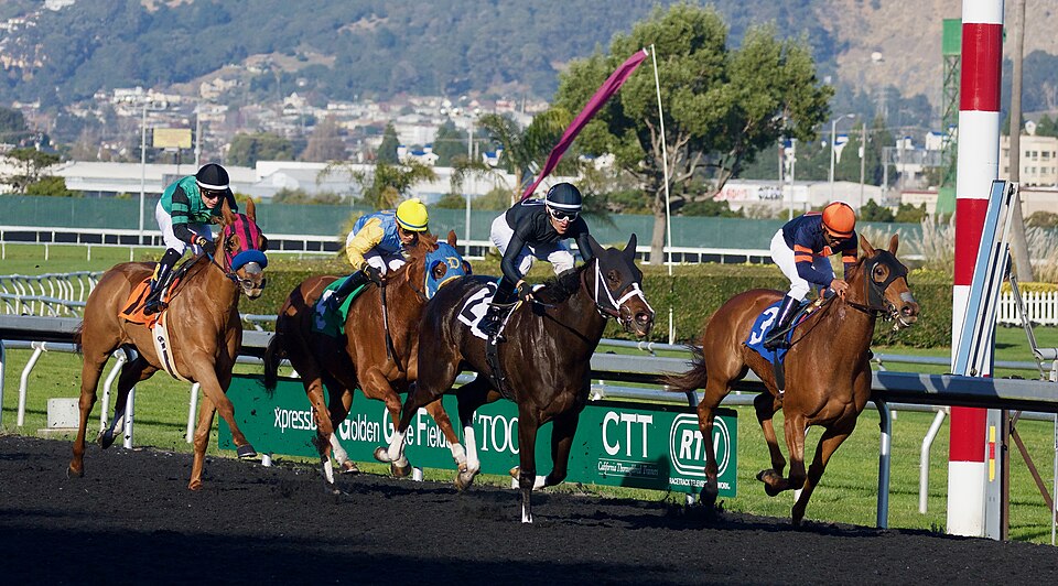Horse racing at Golden Gate Fields, Albany, California. Race 5, 6 furlongs. Winner: #2 Our Renee Place: #3 She Sang Show: #5 Myangelcindy Also ran: Neat N…