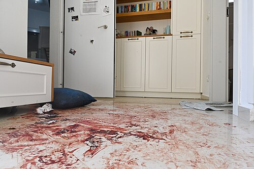 Home in Kibbutz Nahal Oz infiltrated by Hamas on 7 October, 2023