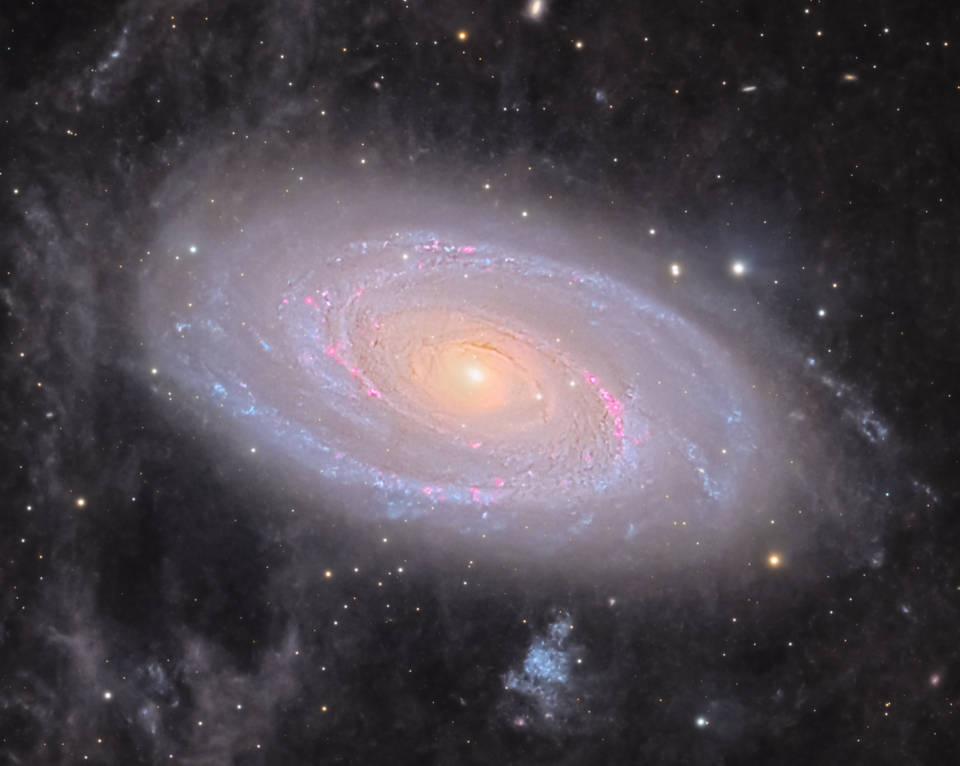 Bode’s Galaxy - M81 is a grand design spiral galaxy. Captured by amateur astronomer Chuck Ayoub. Target: M81 Imaging Telescope: Celestron RASA (400 focal…