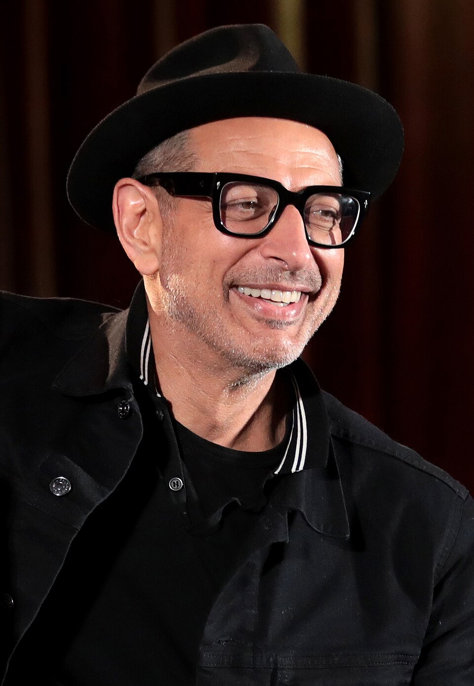 Jeff Goldblum speaking at the 2019 Phoenix Fan Fusion in Phoenix, Arizona.