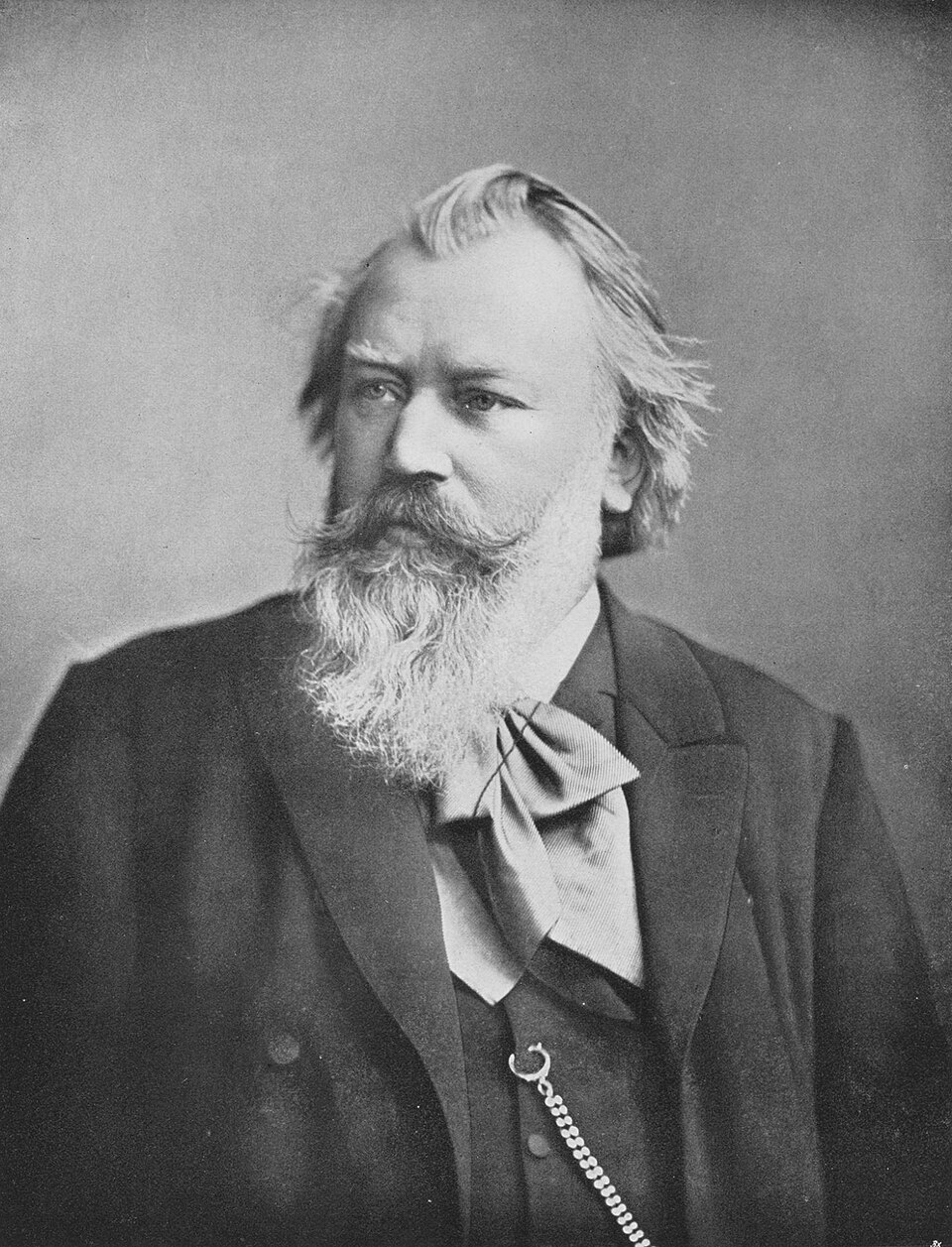 Portrait of Johannes Brahms (1833-1897)