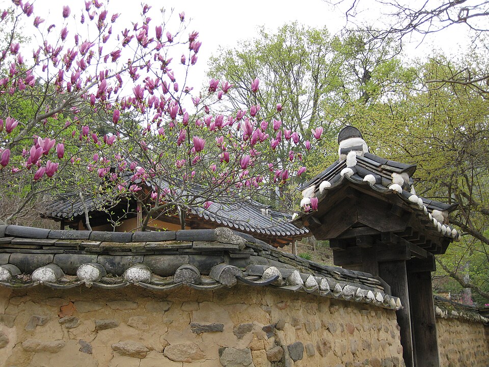 Soswaewon was a garden built by Yang San-bo(1503-1557) to renounce his worldly success and to retire into nature. For more information about living and…