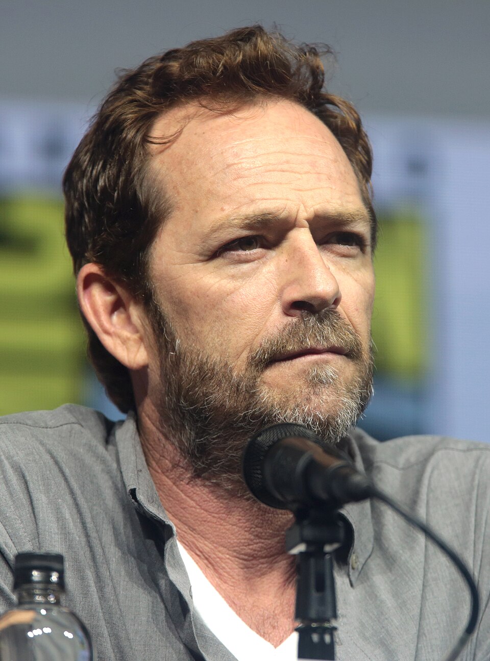 Luke Perry speaking at the 2018 San Diego Comic-Con International in San Diego, California.