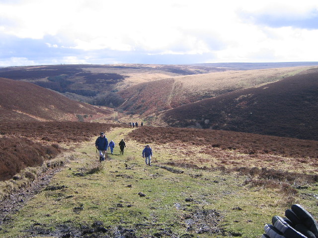 Malmsmead Hill, Exmoor. Photo showing footpath up to road across Malmsmead Hill, Exmoor.