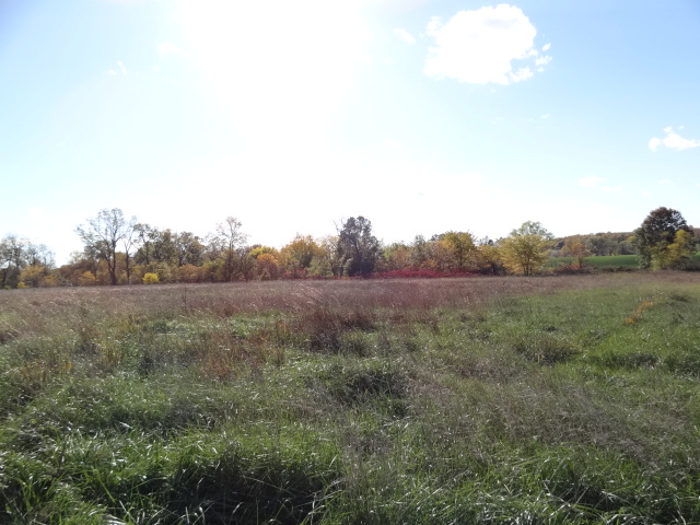 Late Summer at Marais des Cygnes National Wildlife Refuge. Credit: Amy Coffman / USFWS