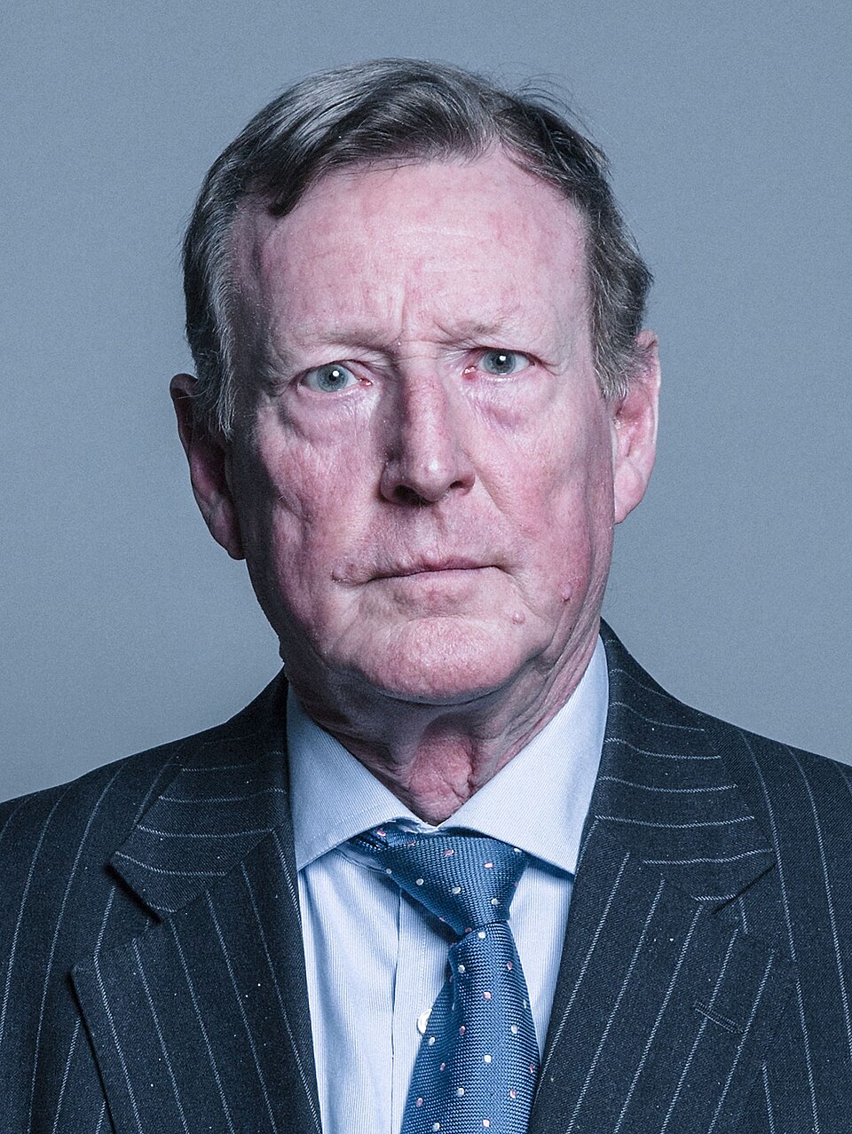 Official portrait of Lord Trimble