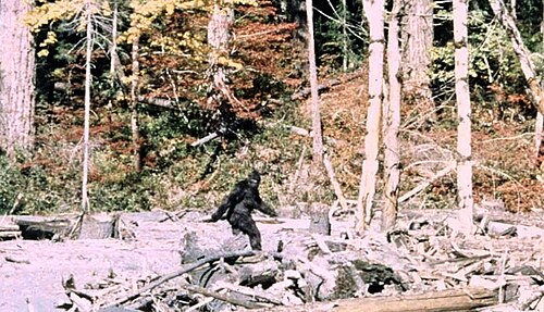 Patterson–Gimlin film
