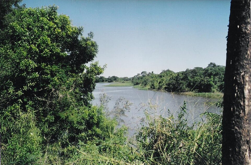 Río Negro (Black River) in Villa Fabiana, a borough in Resistencia, Chaco, Argentina. You can see Chaco's forest and a typical turn of a plateau river.