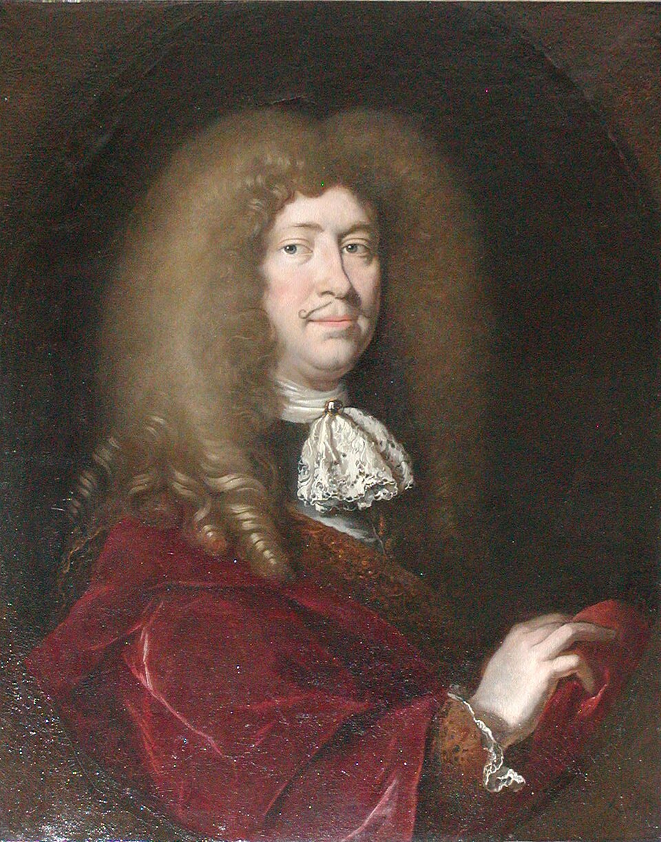 Rasmus Bartholin, professor i matematik og medicin