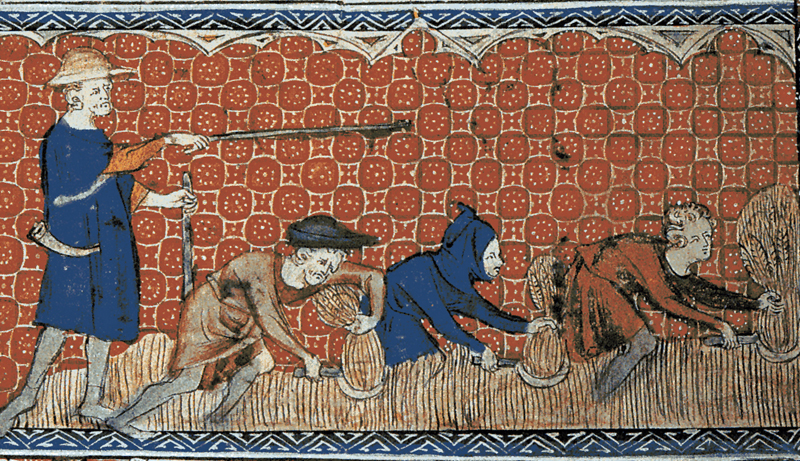 Medieval illustration of men harvesting wheat with reaping-hooks or sickles, on a calendar page for August. Queen Mary's Psalter (Ms. Royal 2. B. VII), c.…