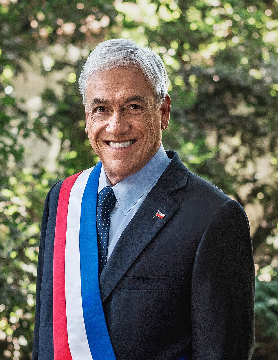 Official photograph of the President of the Republic 2018-2022, Sebastián Piñera Echenique.