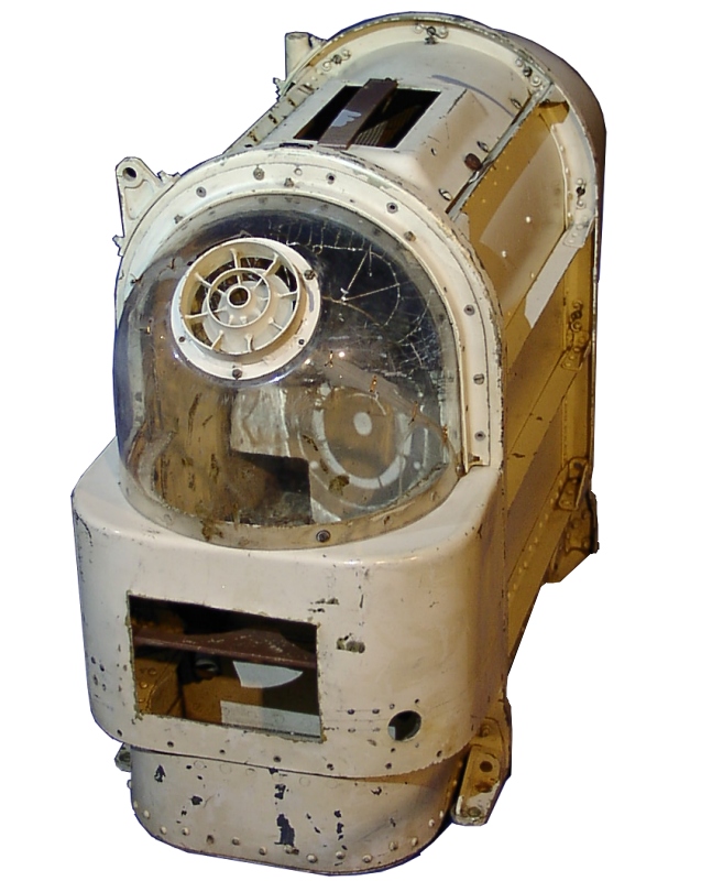 Soviet space dogs