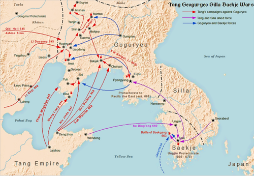 Goguryeo–Tang War