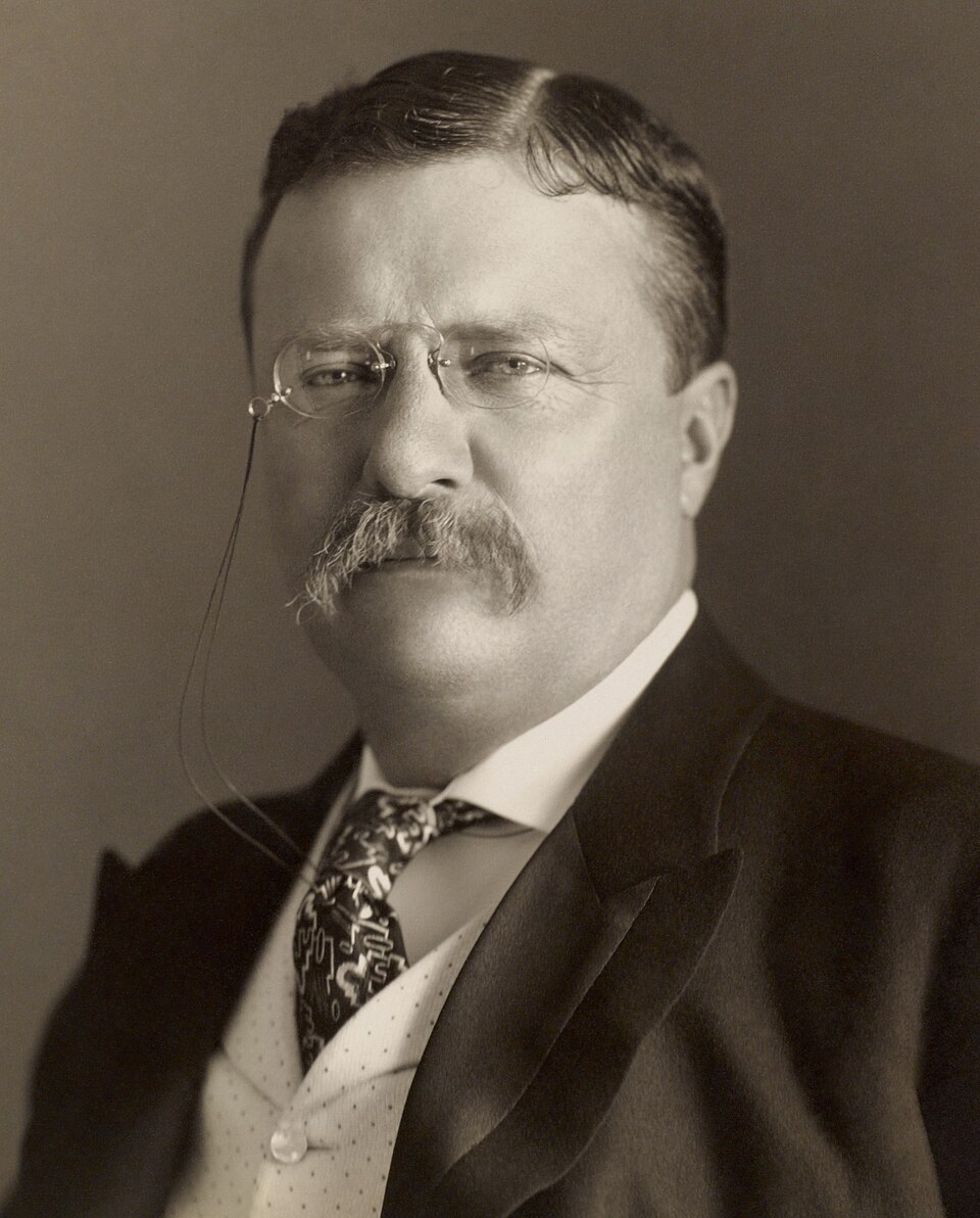 Photograph of Theodore Roosevelt showing head and shoulders, facing slightly left. No information on size of the photo given. Restoration notes Lots of…